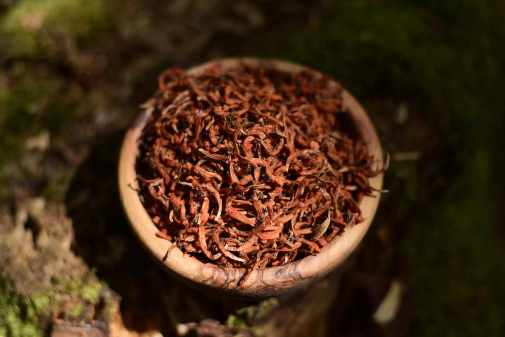 Sušená bylina Leonotis Leonurus v misce 